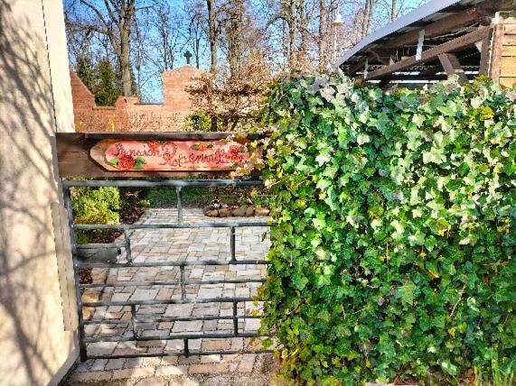 Pension Rosenvilla Sedlitz エクステリア 写真